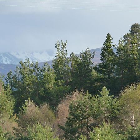 Tanleys - Skye Pod Appartement Grantown-on-Spey Buitenkant foto